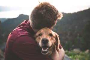 Dogs are known as 'man's best friend' with good reason
