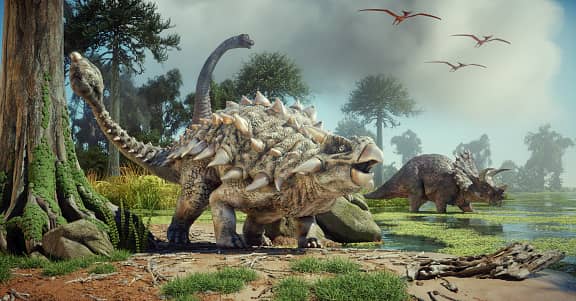 A stock image of Ankylosaurus 