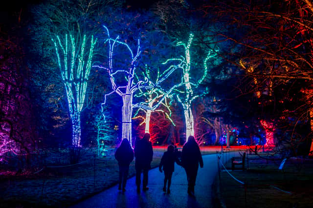 Making memories at Christmas At The Botanics 2024