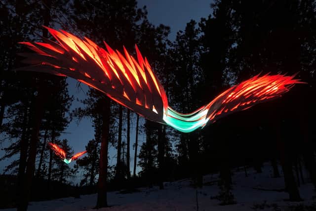 Night Birds by Michael Young