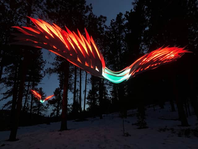 Night Birds by Michael Young