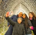 Christmas Cathedral, the trail’s most Instagrammable installation, will make a dazzling return with a brand-new twinkle effect at Christmas at the Botanics 2025