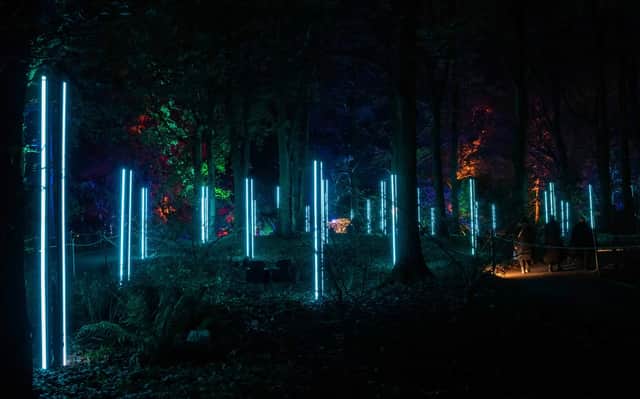 Vertical Rays a dynamic colour changing light show coming to Christmas At The Botanics 2025
