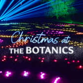 Christmas At The Botanics 2025 now open at Royal Botanic Garden Edinburgh until December 30
