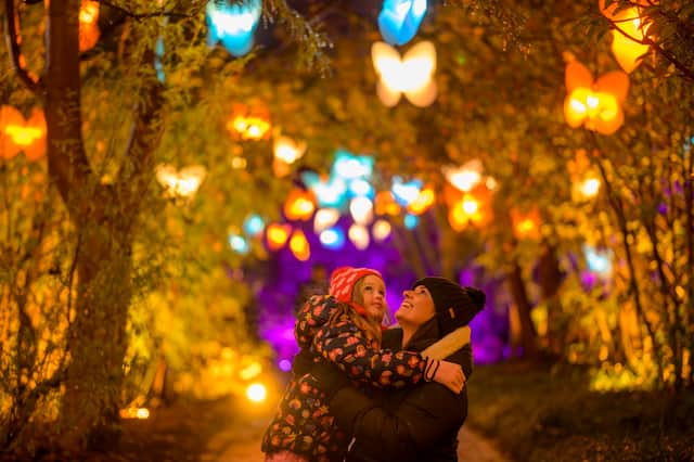 Wander beneath a canopy of super-sized butterflies at Christmas at the Botanics 2025