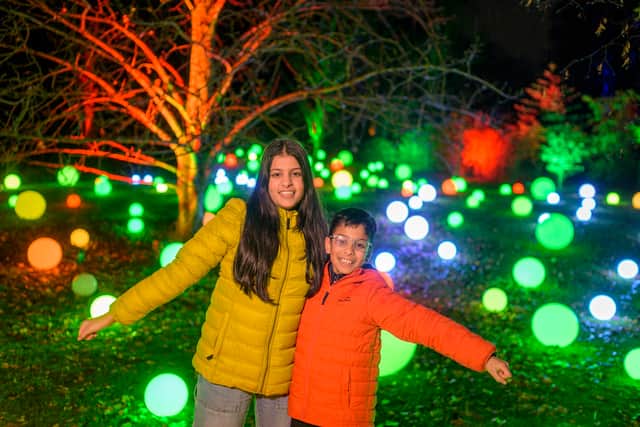 Magical highlights include strolling past a meadow of glowing orbs.