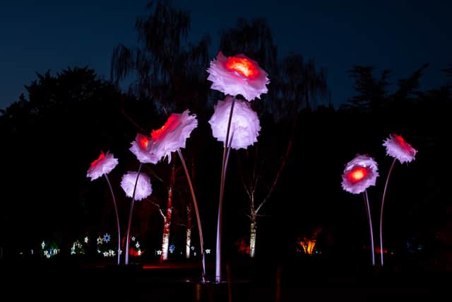 Peonies, created by TILT is set to showcase as one of the new installations this year, featuring five bunches of the 4m tall bouquets.