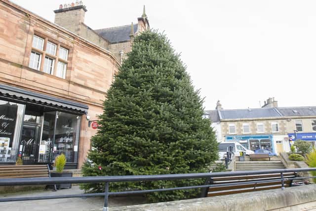 In contrast to Selkirk's tree, Melrose's offering shows quality in every inch of its 20ft.