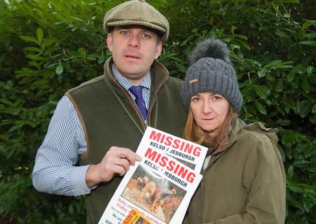 Jedburgh's Ed and Georgie Bell are still hoping to get their missing dogs Ruby and Beetle back.