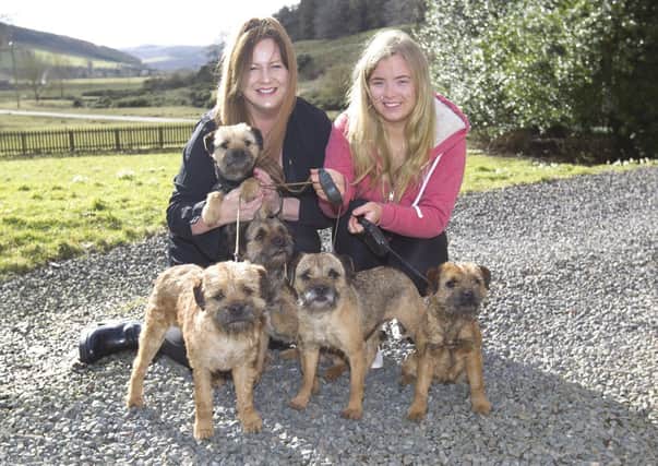 Kath and Cheyenne Lothian with their five Border Terriers that qualified for Crufts:  Ocean, Star, Lucky, Sandi and Duke.