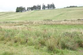 The Fast and the Furriest's controversial dog-walking site near Peebles, south-west of Milkieston Toll House.