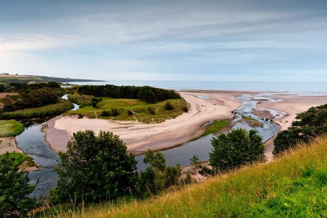Beauty spot....if you've never visited Lunan Bay, make sure this Angus treasure is on your list post lockdown. It's stunning.