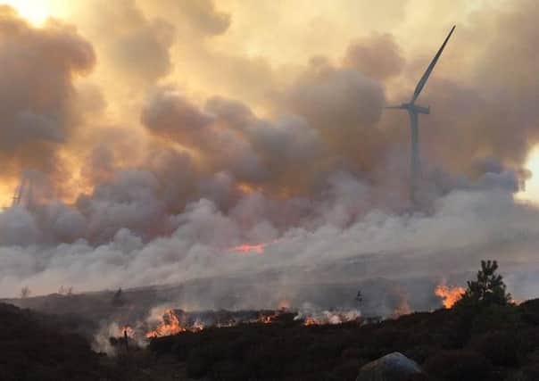 Taking hold...something as simple as a car exhaust or discarded cigarette can start a wildfire in our countryside. (Pic: Carbridge Community Fire Station)