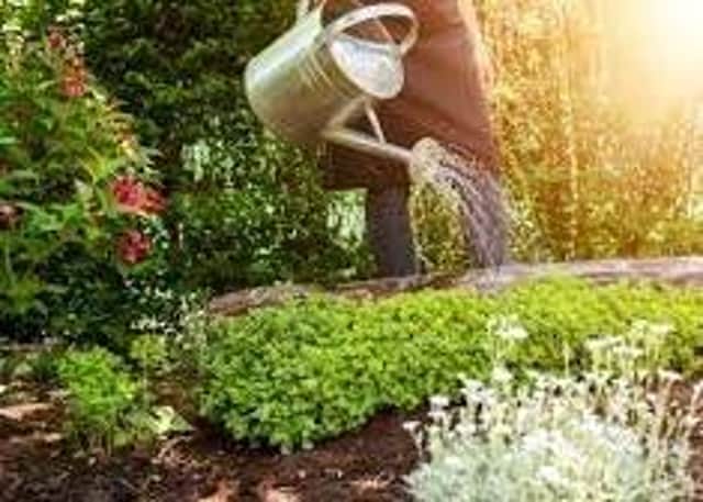 Borderers are being urged to water their garden plants with a watering can rather than a hose as part of a drive to save water by Scottish Water.