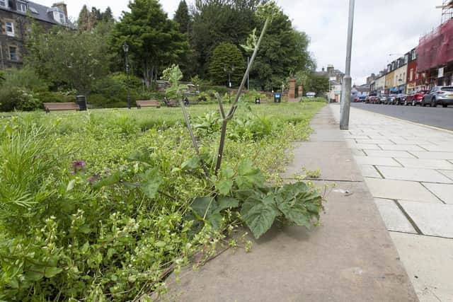 This being Braw Lads' week, Bank Street Gardens would, in normal circumstances, be awash with colour and in prime condition. Now, it is overgrown and weeds are taking over. A crew from Galashiels in Bloom were moved on by police when they tried to tidy it up earlier this month.