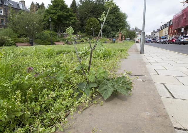 Galashiels in Bloom have now been given the go-ahead to work on the Bank Street Gardens.