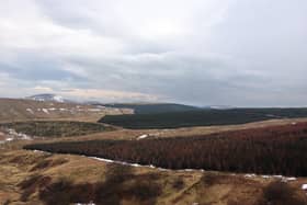 The site of the proposed 45-turbine Faw Side wind farm between Langholm and Hawick.
