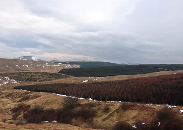 The site of the proposed 45-turbine Faw Side wind farm between Langholm and Hawick.