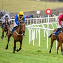 Animore wins the SPG Fire & Security Ltd Mares’ Handicap Hurdle Race at Kelso in December