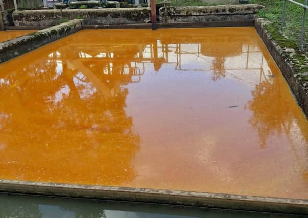 Cooking oil at Scottish Water's St Boswells waste water treatment plant.