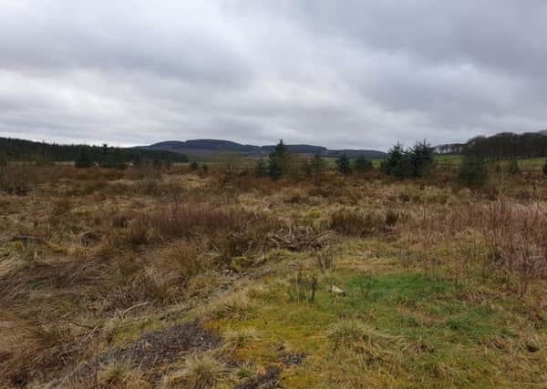 Land east of Wester Deans at West Linton lined up to host a development of 15 huts.