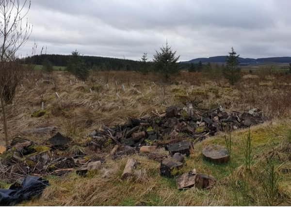 Land east of Wester Deans at West Linton lined up to host a development of 15 huts.
