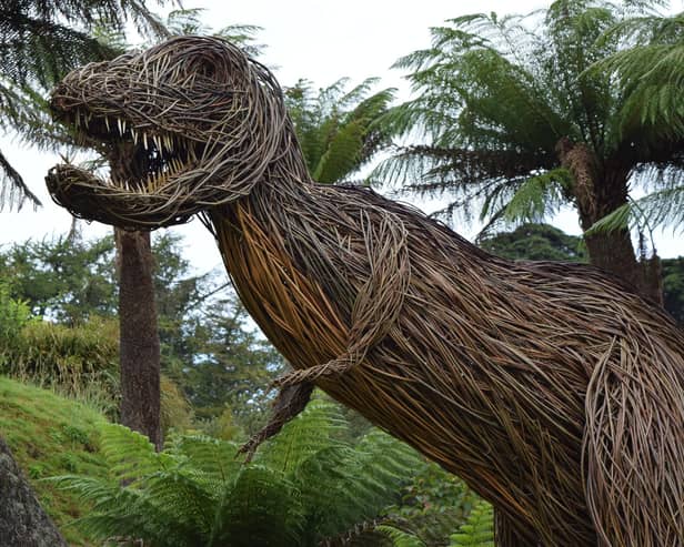 Enjoy a real life encounter...with Rexy, the willow dinosaur, at Logan Botanic Garden in Dumfries and Galloway.