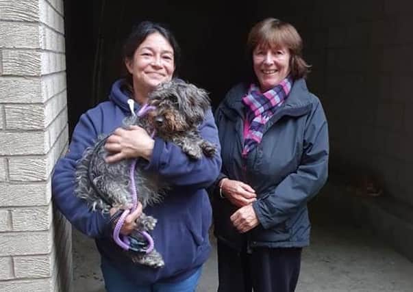 Heather Murphy and Helen Ballantyne with jackapoo Nora, who had gone missing for five days.