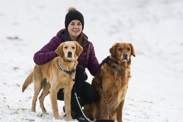 Stacey Wild with her pooches, Barkley and Chase, in the snow at Jedburgh.