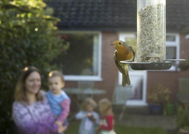 Families are being invited to take part in this weekend's RSPB Big Garden Birdwatch.