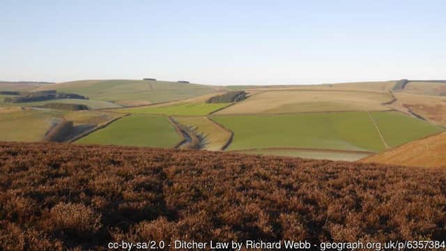 Ditcher Law in the Lammermuir Hills, seen from below Addinston Hill.  Photo © Richard Webb (cc-by-sa/2.0)