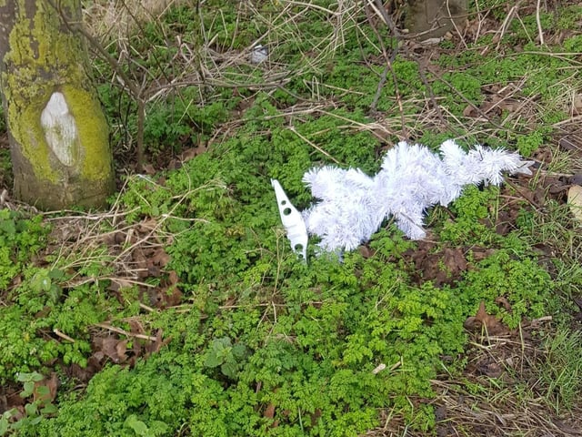 Rubbish on the A52.