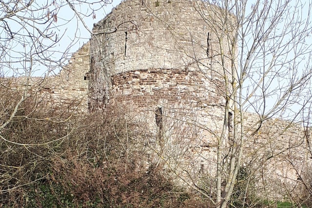 Pevensey Castle, taken by Alison Cushing with a Samsung Galaxy phone. SUS-220216-103117001