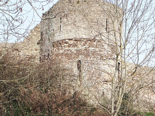 Pevensey Castle, taken by Alison Cushing with a Samsung Galaxy phone. SUS-220216-103117001