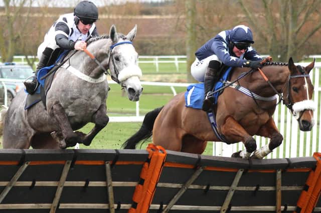 Grey Skies, ridden by Brian Hughes, winning the 1.30pm Johnston Smillie Novices' hurdle, with Jedburgh jockey Callum Bewley on Escapeandevade, right, in second place (Photo: Bill McBurnie)