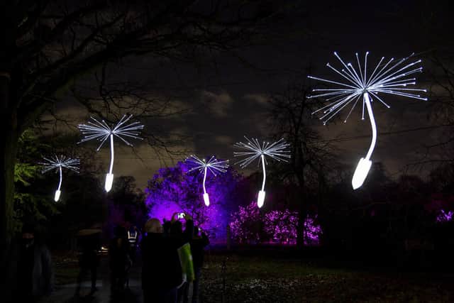 A new highlight recreating illuminated dandelion seeds being dispersed in the air
