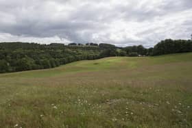 The field at Netherbarns, near Abbotsford.