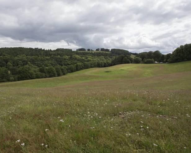 The field at Netherbarns, near Abbotsford.