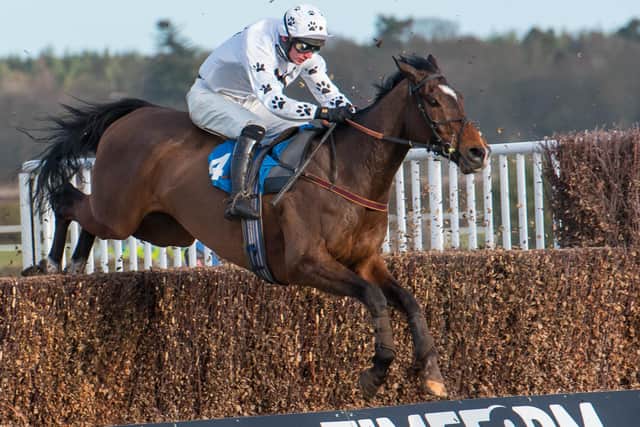 Big River in previous action at Kelso (Pic: Alan Raeburn/Kelso Races)