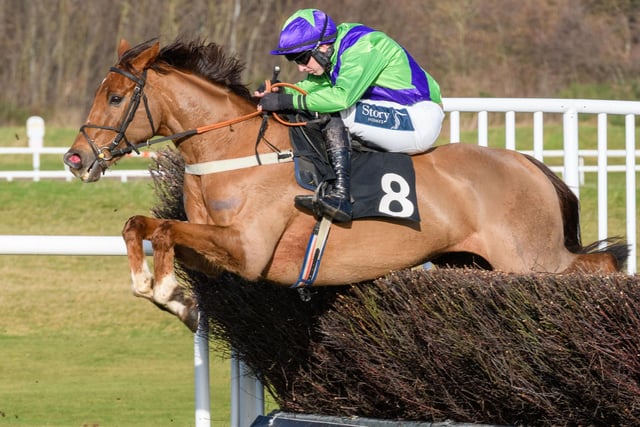 Jockey Conor Farrell on Sandy Forster's Dr Shirocco at Musselburgh on Sunday (Pic: Alan Raeburn)