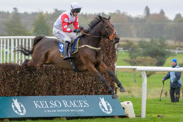 Sam Coltherd riding Wheelbahri for his dad Stuart at Kelso on Saturday (Pic: Kelso Races)