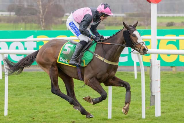 Ryan Mania riding Benson to victory for his racehorse trainer father-in-law Sandy Thomson in the 1.50pm Bet365 Morebattle Hurdle at Kelso on Saturday (Photo: Alan Raeburn/Kelso Races)
