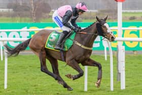 Ryan Mania riding Benson to victory for his racehorse trainer father-in-law Sandy Thomson in 2023's Bet365 Morebattle Hurdle (Photo: Alan Raeburn/Kelso Races)