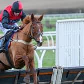Sam Coltherd riding Dream Boy to victory for his trainer dad Stuart at Kelso Racecourse last Friday (Photo: Alan Raeburn)