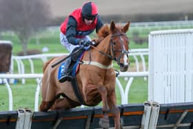 Sam Coltherd riding Dream Boy to victory for his trainer dad Stuart at Kelso Racecourse last Friday (Photo: Alan Raeburn)
