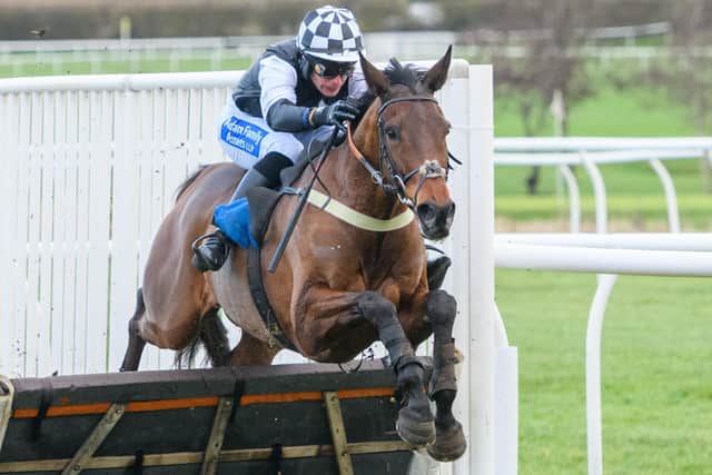 Ryan Mania riding Imaginary Dragon to victory for trainer Sandy Thomson at Kelso Racecourse last Friday (Photo: Alan Raeburn)