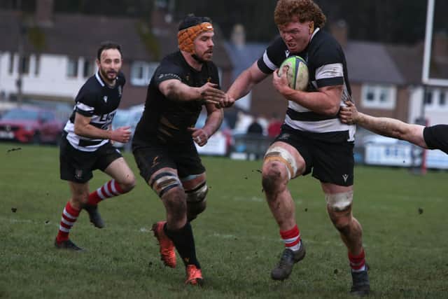 Lock Keith Melbourne in action during Kelso's 25-20 win at home to Currie Chieftains at Poynder Park on Saturday (Photo: Steve Cox)