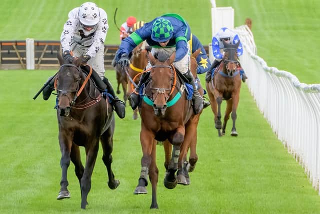 Sean Quinlan, in blue and green, riding Lock Down Luke to victory for Lilliesleaf's Jackie Stephen at Kelso on Saturday (Photo: Kelso Races)