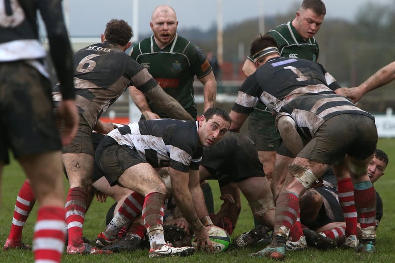 Andy Tait looking for a pass during Hawick's 25-9 win against Kelso at home at Mansfield Park on Saturday in this year's Scottish Premiership semi-final play-offs (Photo: Steve Cox)