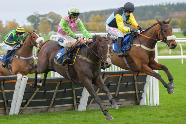 Salvino, centre, ridden by Bruce Lynn, racing at Kelso on Saturday (Pic: Kelso Races)